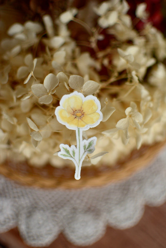 Stickers Fleurs Potentille