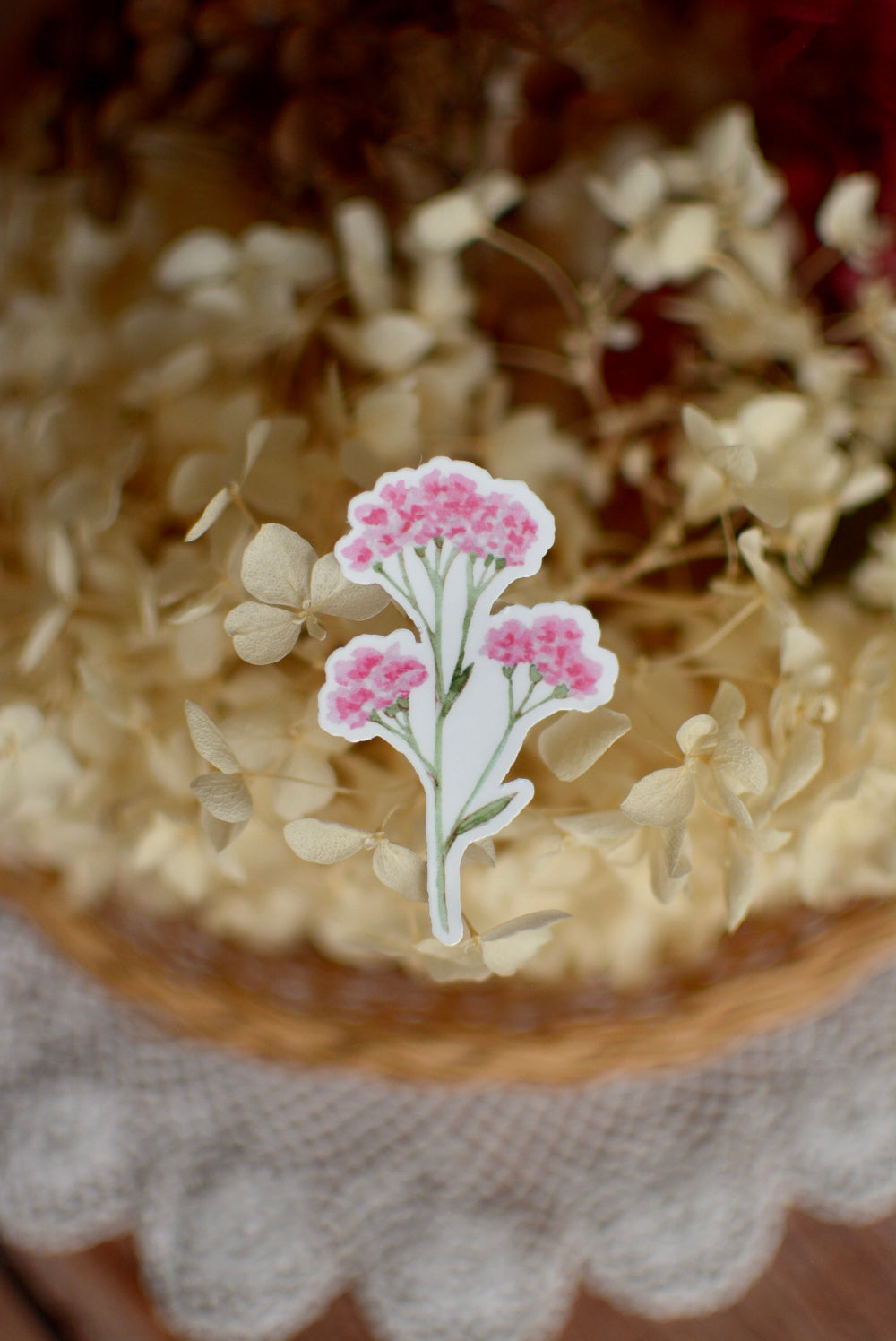 Stickers Fleurs statice rose