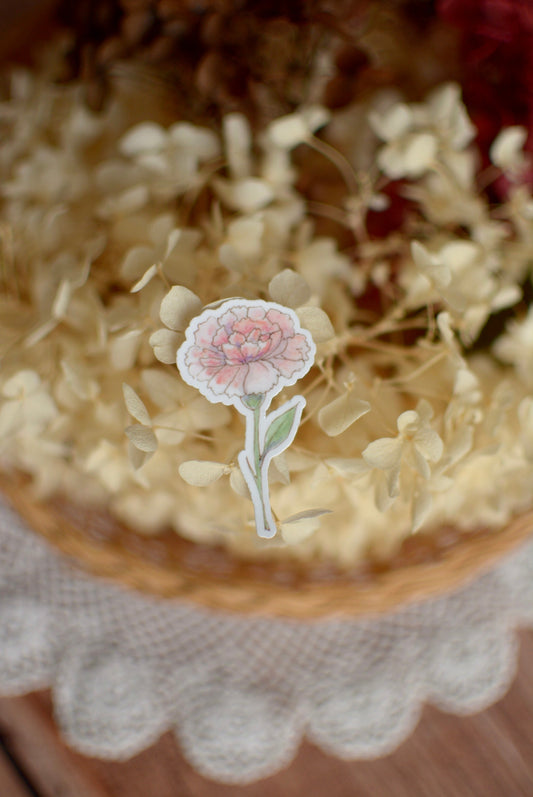 Stickers Fleurs oeillet rose
