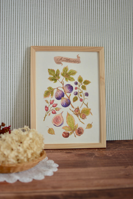 Affiche illustrée Fruits d'automne